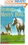 Stormy, Misty's Foal