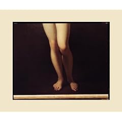 Pictures of Paintings: Photographs by Richard Misrach