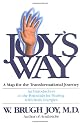 Joys Way