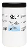 C Kelp 1000ct tablets