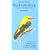 Birdwatching on Spain's Southern Coast: Costa Del Sol, Costa De La Luz, Almeria, Donana and Some Inland Sites