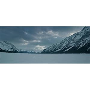 The Revenant + Birdman ou (La surprenante vertu de l'ignorance) [Blu-ray]