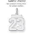 Sterling Silver Small Polished Number 22