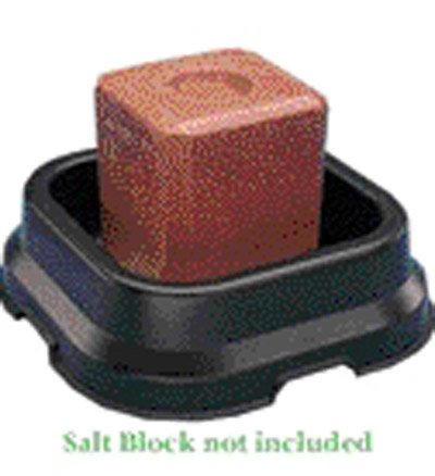 Fortiflex Salt Block Pan Black