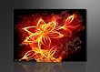 Bild auf Leinwand Fire Fly 120 x 80 cm Modell-Nr. XXL 5147 Bilder fertig gerahmt�auf echtem Holzrahmen riesig. Ausf�hrung Kunstdruck als Wandbild auf Rahmen. G�nstiger als �lbild Gem�lde Poster Plakat mit Bilderrahmen.