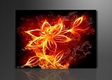 Bild auf Leinwand Fire Fly 120 x 80 cm Modell-Nr. XXL 5147 Bilder fertig gerahmt auf echtem Holzrahmen riesig. Ausführung Kunstdruck als Wandbild auf Rahmen. Günstiger als Ölbild Gemälde Poster Plakat mit Bilderrahmen.