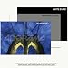 Adorama Universal Print Mounting Tissue, for All Photographic and Digital Inkjet Papers, 11