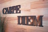 Produkt-Bild: Schriftzug CARPE DIEM braun 80 cm lang Wanddeko