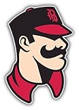 Birmingham Barons MILB Minor Baseball MLB Car Bumper Sticker Decal 4" x 5"