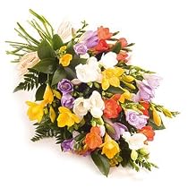 Colourful Fragrant Freesia tied bunch - Send Fresh Flowers From Our Value Range