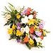 Colourful Fragrant Freesia tied bunch - Send Fresh Flowers From Our Value Range