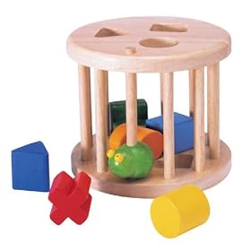 Pintoy Sorting Cage