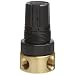 Parker R36 Miniature Series Brass Regulator, Relieving Type, NPT