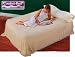 Sporting Goods : 66717 Raised Queen AirBed Air Mattress w/ built-in electric AC pump