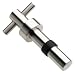 Blomus Stainless-Steel Cino Bottle Stopper