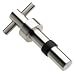 Blomus Stainless-Steel Cino Bottle Stopper