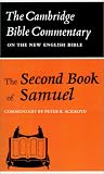 The 2nd Book of Samuel Commentary