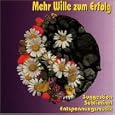 Mehr Wille Zum Erfolg
