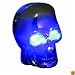 Pilot Automotive CZ-122B Skull Windshield Washer Nozzle with Blue LED Light