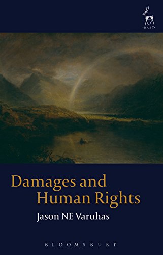 Damages and Human Rights: A Tort-Based Approach (Hart Studies in Private Law)