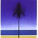 The English Riviera