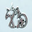 Small Asian LUCK Symbol Pendant or Charm in Sterling Silver, #11434