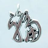 Sterling Silver Asian Luck Symbol Charm or Pendant, #11434