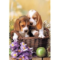 PUZZLE 260 TEILE KINDERPUZZLE 2 Zwei HUNDE HUND im KORB TIER TIERE