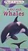 : Real Animals: Day With Whales (W/Toy)