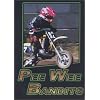 Peewee Bandits