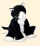 Sweet Cherise Cat