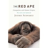 the red ape orangutans and human origins revised and updated