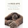 The Red Ape: Orangutans and Human Origins, Revised and Updated
