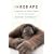 The Red Ape: Orangutans and Human Origins, Revised and Updated