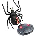 Schylling Remote Controlled Web Runner