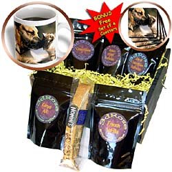 Cats - Cats and Dogs - Coffee Gift Baskets - Coffee Gift Basket by 3dRose LLC