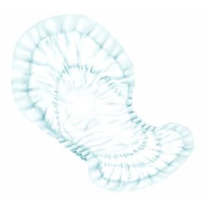 Dry Comfort? Bladder Control Pads White/Day Heavy Absorbency/Case of 80