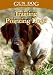   - GUN DOG DVD Training Pointing Dogs