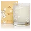 Thymes Ambersweet Orange Poured Candle 9 oz net wt / 255 g