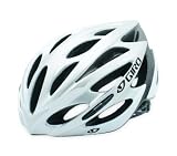 Giro Monza Helmet (Silver/White, Med)