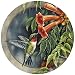 Hummingbird and Trumpet Vine Thirstystone Sandstone Coaster