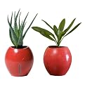 Grobal Self-Watering Flower Pots - Tangerine