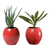 Grobal Self-Watering Flower Pots - Tangerine