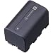 Sony NPFS22 S Series InfoLithium Battery for DCRPC1/5