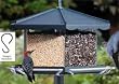 Triple Bin Party Bird Feeder