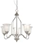 Hardware House 543934 Saturn 23-Inch by 21-3/4-Inch Chandelier Satin Nickel