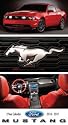 Ford Mustang - 2010 2-Year Planner Calendar