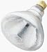 Tv 150w Secur Refl Bulb