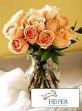 Heifer Peach Roses, Eco-Friendly - Veriflora Certified, Peach Rose Bouquet