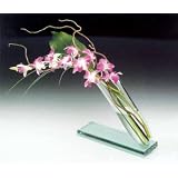 Click here to buy Bordeaux Slanted Vase by .